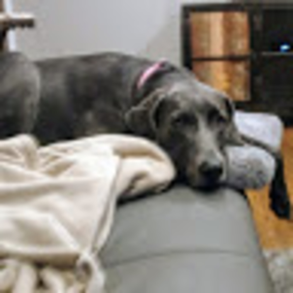 Meet your Posher, Christle